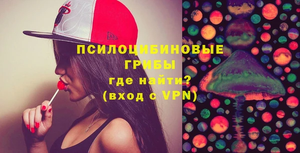 гашик Новый Уренгой