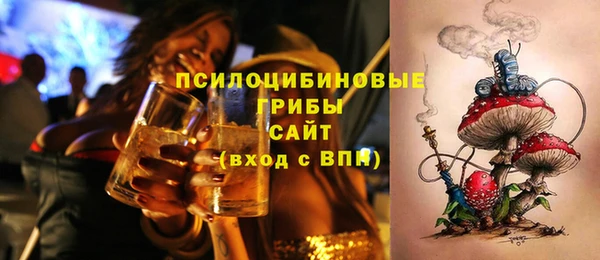 ГАЛЛЮЦИНОГЕННЫЕ ГРИБЫ Алексеевка