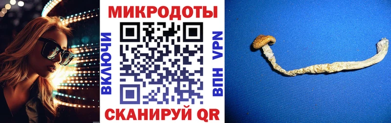 купить наркотик  MEGA ONION  Галлюциногенные грибы GOLDEN TEACHER  Харовск 