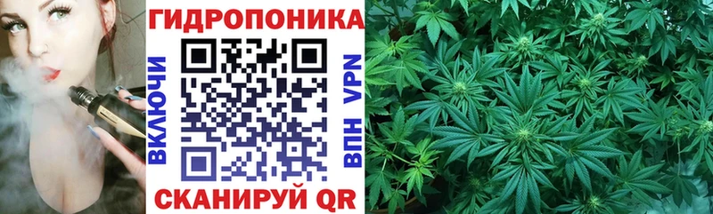 купить закладку  Харовск  МАРИХУАНА SATIVA & INDICA 